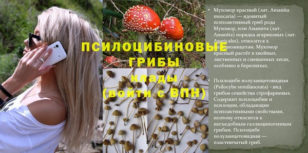прущая мука Приозерск