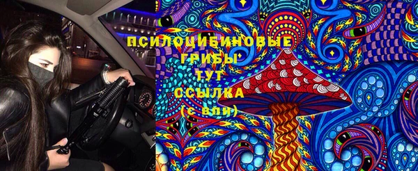 apvp Пролетарск