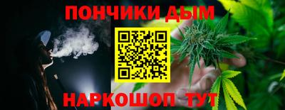 индика Заволжье
