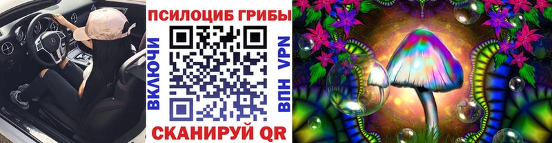 mega ТОР  Сланцы  Псилоцибиновые грибы мухоморы  наркота 