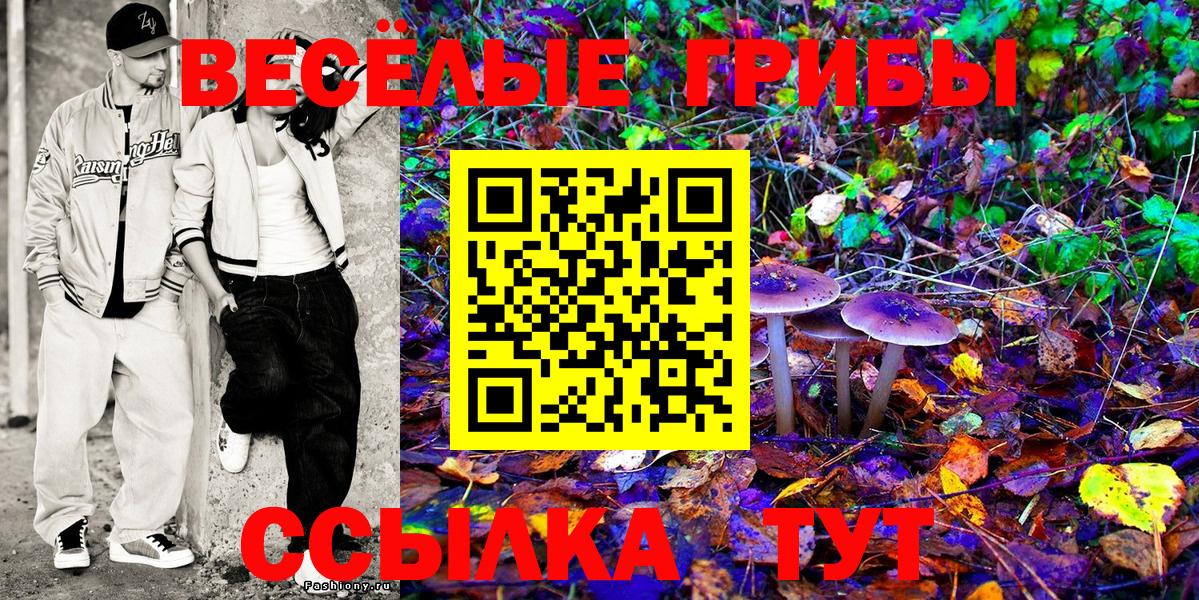 Псилоцибиновые грибы мицелий Сланцы
